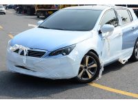 V܇չ̽^ |L(fng)(bio)ȫ308S