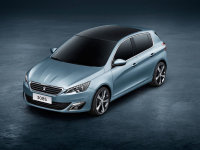 |L(fng)(bio)308SV܇չl(f) 2015