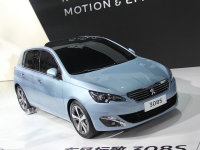 �������������� ���ݳ�չʵ�ı���308S