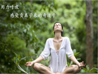 ������������������ӱ���Ϊ����ά����