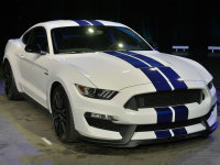 ����Ұ��GT350������ ����������չ����