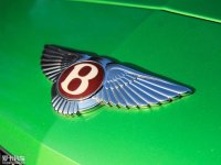 �����Ƹ����ܰ���ܸ�� 2018������