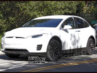 ����˹��MODEL X���µ��� ������������