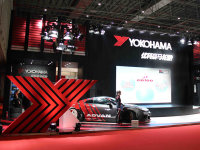 2015�Ϻ���չ�ſƺ�����̥չ���˶�����