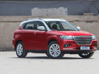 �ļ���һĨ��ɫ �Ŀ�ɫ�ʻ�������