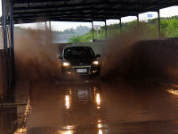 ������������ �ι����������������鳡