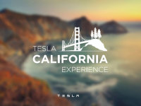 Model X�����ڼ� �������ݴ����ѹѹ��