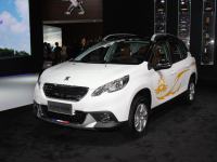 2008������ݳ�չ���� �ṩ���Զ���