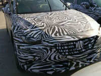 ���Դ�CX-4�����ع� ���걱����չ�׷�