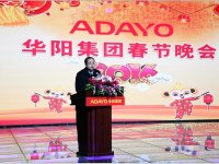 ADAYO��������2016�괺������Բ����Ļ
