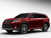 2016ŦԼ��չ�������¿������ʽ����