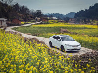 ^ﻨ w(yn)s360 SDL(lin)ϵy(tng)