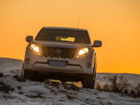 ����PRADO�����ྺ�������� �Լ۱�ռ��