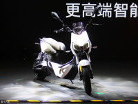 ������˹��������Сţ�����ŵ�Z3�綯��