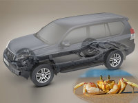 ���㽲���ã�11������ǳ���ʽ����