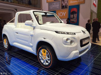 ѩ����E-MEHARI��������߳�չ����