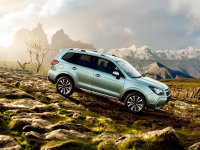 ˹��³����2016TNF100����ԽҰ����ս��