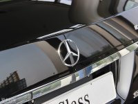 ���۽��ƴ��綯SUV��� ���賵չ����
