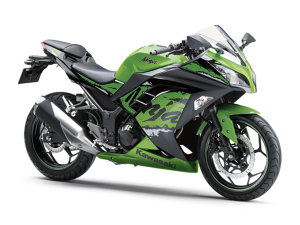  ����Ninja250��Ninja300�ر������ͼ��