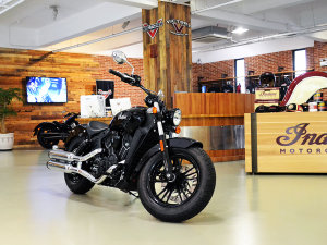  ����ĳ��л��� ʵ��ӡ�ڰ�Scout sixty