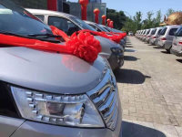 ��ռ�������г� ���MPV�ٻ�262̨��