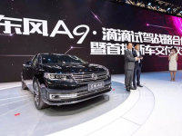 �Լ����鴥�ֿɼ� ����A9���ֵε��Լ�