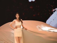 �����Գ���ϵͳ�����棿�ɶ���չ��̽��