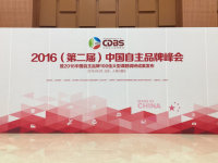 ���������ѡ2016�й���������Ʒ��ʮ��