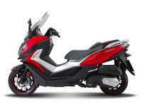 ̨���������ڿ�¡��չ����CRUISYM 300