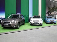 ˹��³��ɭ���й���������԰����Ѳչ��