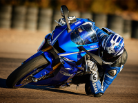 ������׺ݡ�����¶��ɫ2017��������R6