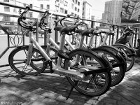 Ħ�ݵ������²ۣ�������˽�á���������