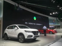 2016ݳչeRX5춯