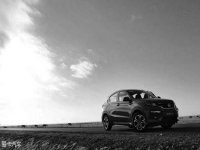 ֻ��TA ������������ʥ������