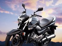 ������ľ���ٻ�GW250 ������ɲ������