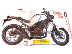  ������XSRӭ���³�Ա ����MT-03����