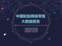 2016����й���̥�������۴����ݱ���
