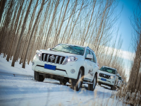 ��ݲ�ɺ� PRADO�����ഩԽ��ѩ����