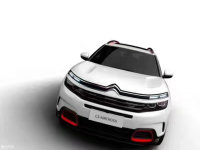 ѩC5 Aircrossͼ Ϻչ