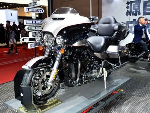  2017�Ϻ���չ ���״�άɭ�콢����ʵ��