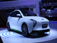 ��ʨ����Դ��������2017�Ϻ����ʳ�չ