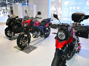  2017�Ϻ���չ ��ľĦ�г�����Ͳ�չ