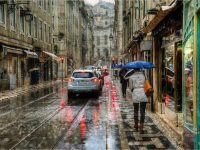 �꼾���˲��ó� ��Щ���������������