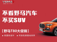 ��ϣ������ƷλSUV����Ұ��T80