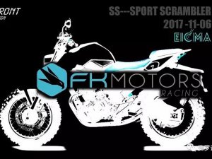  FK MOTORS�ƻ���������չ�Ƴ�SSϵ��