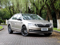 ��280TSI �Զ������� �����񹺳��ֲ�