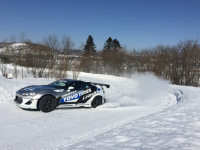 ͨ��ŷ��̥����̥  ѩ��Ư������SHOW