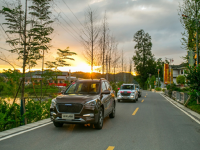 ����M6��̽���߲ʲ���  ���ֶ������