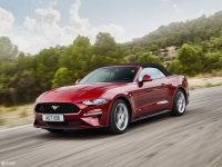 ¿Mustangͼ С