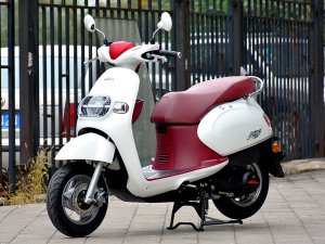  �ɰ��������� ����-��������100ʵ��